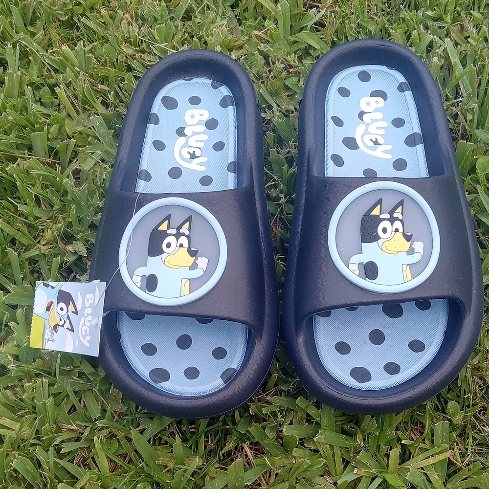 Mens Character BLUEY Slides